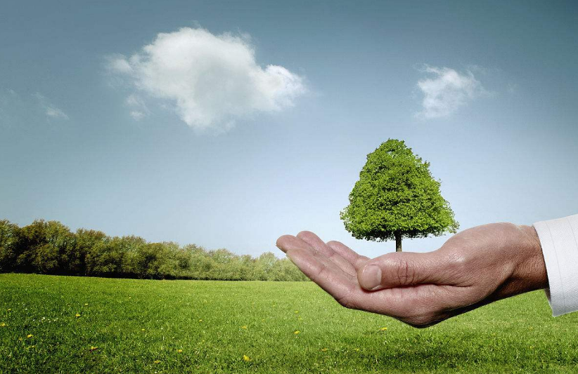 鼎豐木業(yè)——以行動守護藍(lán)天